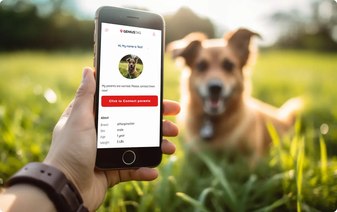 Nationwide pet parent community